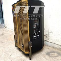 Loa Karaoke Công Suất Lớn Temeisheng Ed 1516