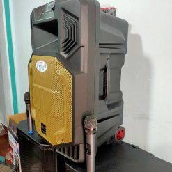 Loa kéo karaoke công suất lớn 4 tấc