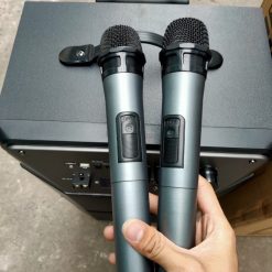 Loa Karaoke Malata M9087 (2)