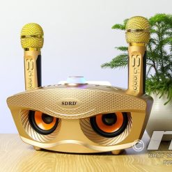 Loa Karaoke Bluetooth Mini Sd 306 (2)