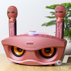 Loa Karaoke Bluetooth Mini Sd 306 (3)