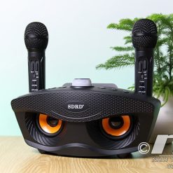 Loa Karaoke Bluetooth Mini Sd 306 (4)