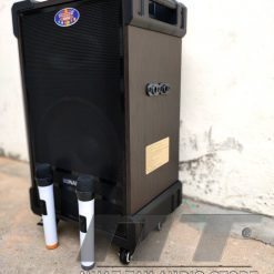 Loa Kéo Ronamax Mt 12 Loa Karaoke Di động 3 Tấc (2)