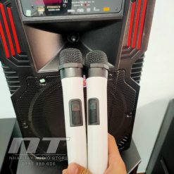 Loa Karaoke Di Dong 3 Tac Cong Suat Lon Ronamax F12