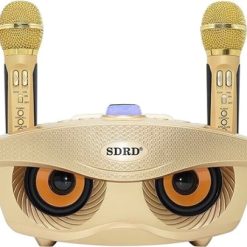 Loa karaoke mini SD 306