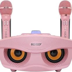 Loa Bluetooth Karaoke Sd306 Sdrd Kết Nối Nhanh