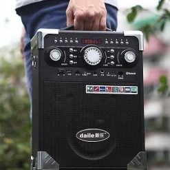 Loa Keo Keo Karaoke Xach Tay Mini Daile S8 (2)