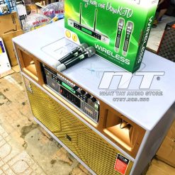 Dan Karaoke Di Dong Cam Dien Truc Tiep Hosan J8000 (2)