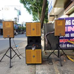 Dan Loa Keo Bass Doi 40 Cong Suat Khung Array Nt 1321 (2)