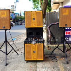 Dan Loa Keo Bass Doi 40 Cong Suat Khung Array Nt 1321 (3)