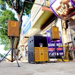 Dan Loa Keo Bass Doi 40 Cong Suat Khung Array Nt 1321 (4)