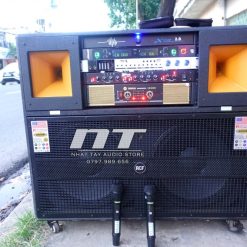 Loa Keo Dien Cong Suat Lon Rcf 1008 (2)