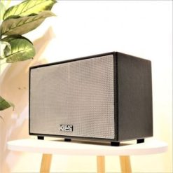 Loa Keo Acnos Cs200 Pu16232132770 430x430 1