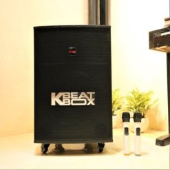 Loa Keo Acnos Kb43159384734401 430x430 1