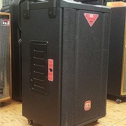Loa di động Malata M+9037Y, loa kéo karaoke cao cấp, max 600W