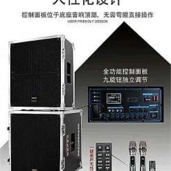 Loa di động Temeisheng GD18-04, bass 18 inch