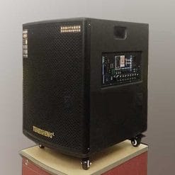 Loa Di Động Temeisheng Pro 1003 4 Tấc