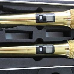 Loa Di Động Temeisheng Pro 1003 4 Tấc