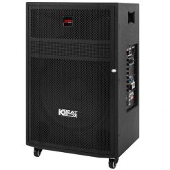 Loa Karaoke Acnos Cbz16g 3 Org E1579233891309