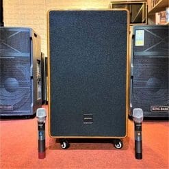Loa karaoke di động SANSUI SG10-15, loa cao cấp, max 900W