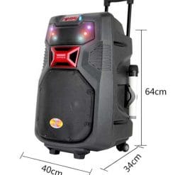 Loa Kéo Di Động 3 Tấc Temeisheng A38