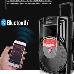 Loa Kéo Di Động Malata JD15 M+9023