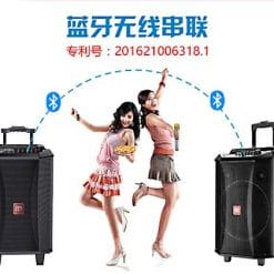 Loa kéo di động Malata S8 M+9026 3 tấc