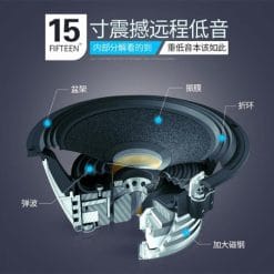 Loa Kéo Di Động Temeisheng 2398A