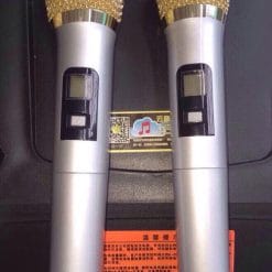Loa Kéo Di Động Temeisheng 2398A