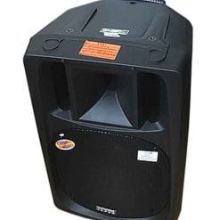 Loa Kéo Di Động Temeisheng 2398A