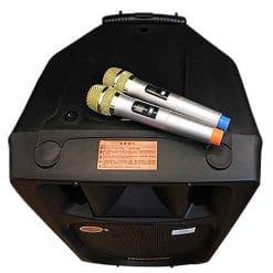 Loa Kéo Di Động Temeisheng 2398A