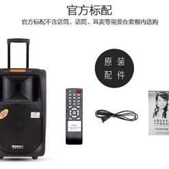 Loa Kéo Di Động Temeisheng 2398A