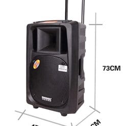 Loa Kéo Di Động Temeisheng 2398A