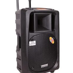 Loa Kéo Di Động Temeisheng 2398A