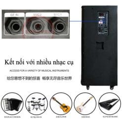Loa Kéo Di Động Temeisheng 5 Tấc Đôi GD215-03