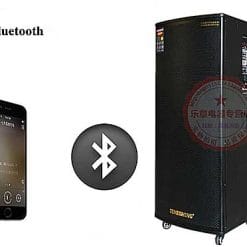 Loa Kéo Di Động Temeisheng 5 Tấc Đôi GD215-03