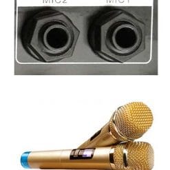 Loa Kéo Di Động Temeisheng 5 Tấc Đôi GD215-03