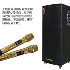 Loa Kéo Di Động Temeisheng 5 Tấc Đôi GD215-03