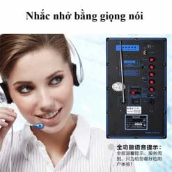 Loa Kéo Di Động Temeisheng A15-2
