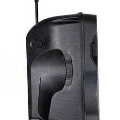 Loa Kéo Di Động Temeisheng A15-2