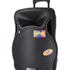 Loa Kéo Di Động Temeisheng A15-2