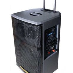 Loa kéo di động Temeisheng A171 công suất lớn