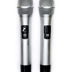 Loa kéo di động Temeisheng A171