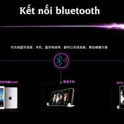 Loa Kéo Di Động Temeisheng A18S 3,5 Tấc