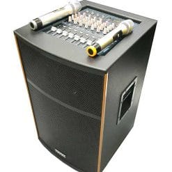Loa Kéo Di Động Temeisheng A198