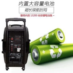 Loa kéo di động Temeisheng A28 3.5 tấc