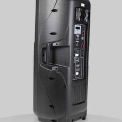 Loa kéo di động Temeisheng A86 Bass Đôi