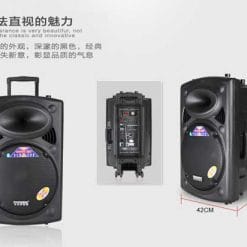 Loa Kéo Di Động Temeisheng DP-2305L