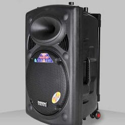 Loa Kéo Di Động Temeisheng DP-2305L