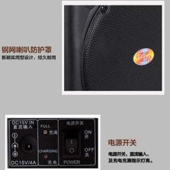 Loa Kéo Di Động Temeisheng DP-2305T